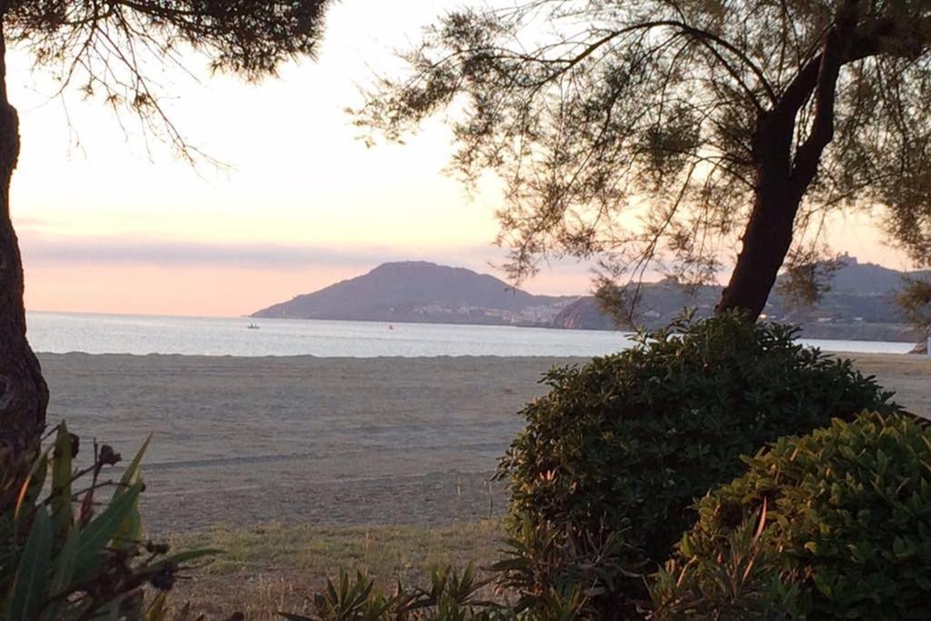 2 Chambres, Residence Avec Piscine, 100 Metres De La Mer Argelès-sur-Mer Εξωτερικό φωτογραφία
